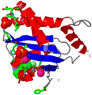 Image Asym. Unit - sites