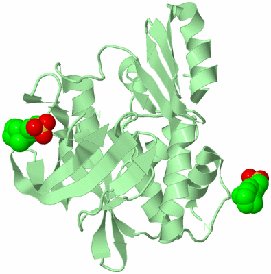 Image Biological Unit 2