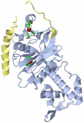 Image Biol. Unit 1 - sites