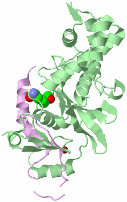 Image Biological Unit 2