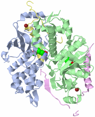 Image Biological Unit 3