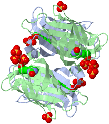 Image Biological Unit 1