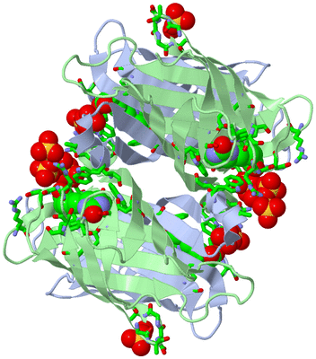 Image Biol. Unit 1 - sites