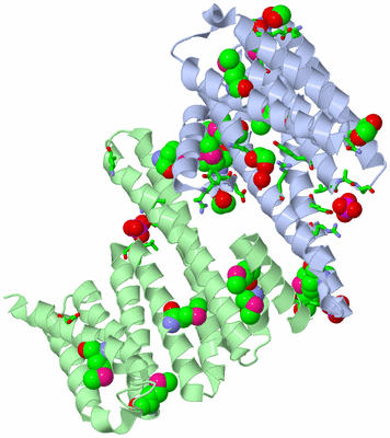 Image Asym./Biol. Unit - sites