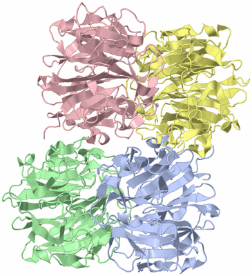 Image Asymmetric Unit