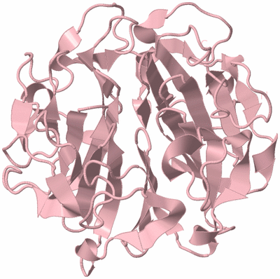 Image Biological Unit 5