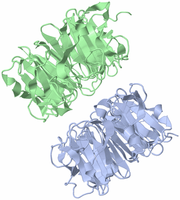 Image Asymmetric Unit