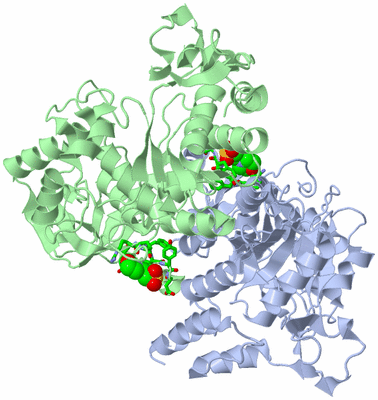 Image Asym./Biol. Unit - sites