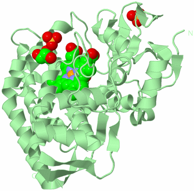 Image Biological Unit 2