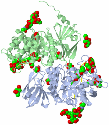 Image Asym./Biol. Unit