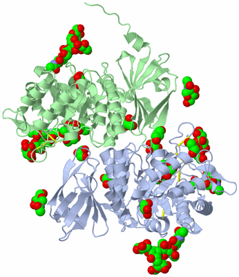 Image Asym./Biol. Unit