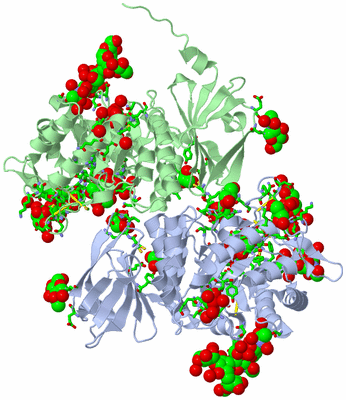 Image Asym./Biol. Unit - sites