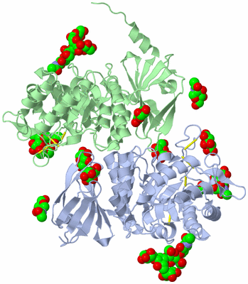 Image Asym./Biol. Unit