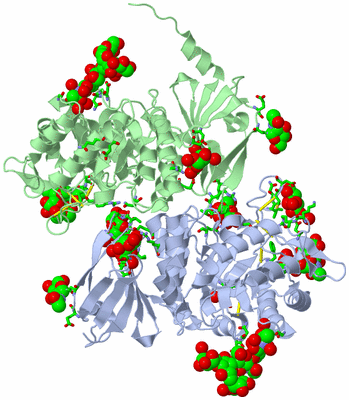 Image Asym./Biol. Unit - sites