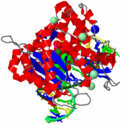 Image Asym./Biol. Unit