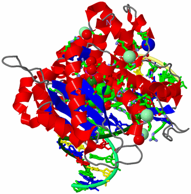 Image Asym./Biol. Unit - sites