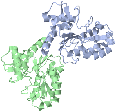 Image Biological Unit 1