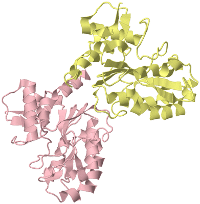 Image Biological Unit 2