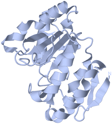 Image Biological Unit 3