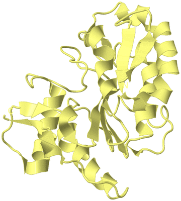 Image Biological Unit 6