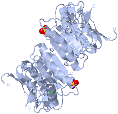 Image Biological Unit 1