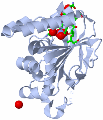 Image Biol. Unit 1 - sites