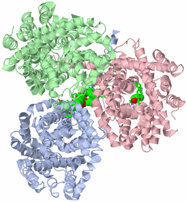 Image Asym./Biol. Unit - sites