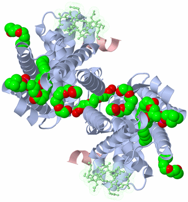 Image Biological Unit 3