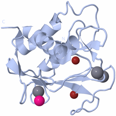 Image Biological Unit 1