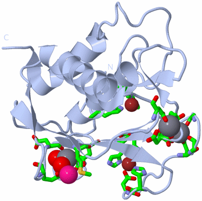 Image Biol. Unit 1 - sites