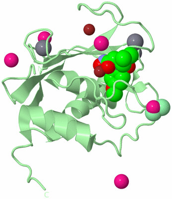 Image Biological Unit 2