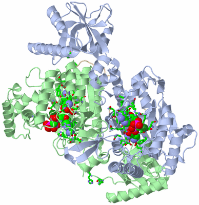 Image Biol. Unit 1 - sites