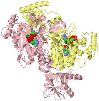 Image Biological Unit 2