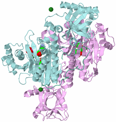 Image Biological Unit 3