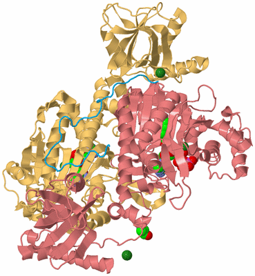 Image Biological Unit 4