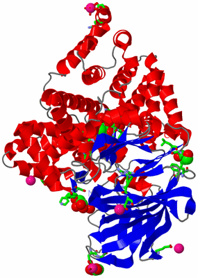 Image Asym./Biol. Unit - sites