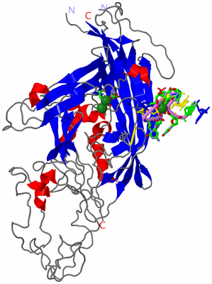 Image Asym. Unit - sites