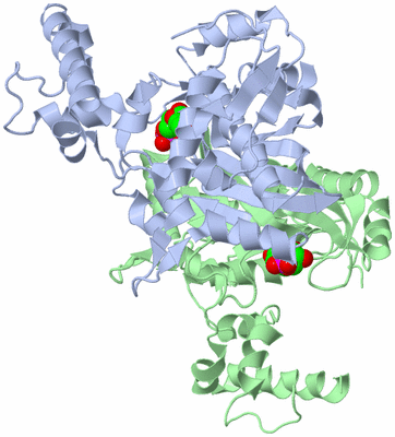 Image Asym./Biol. Unit