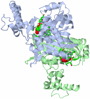 Image Asym./Biol. Unit - sites