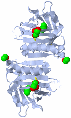 Image Biological Unit 1