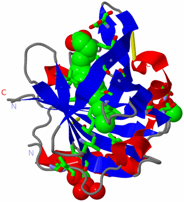 Image Asym. Unit - sites