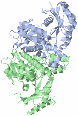 Image Asym./Biol. Unit