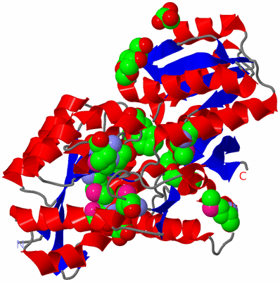 Image Asym./Biol. Unit