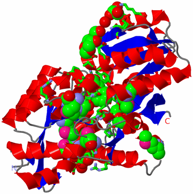 Image Asym./Biol. Unit - sites