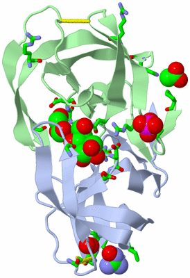 Image Asym./Biol. Unit - sites