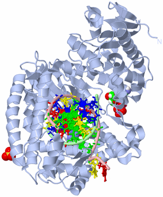 Image Biological Unit 1