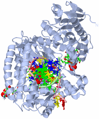 Image Biol. Unit 1 - sites