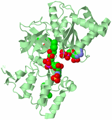 Image Biological Unit 2