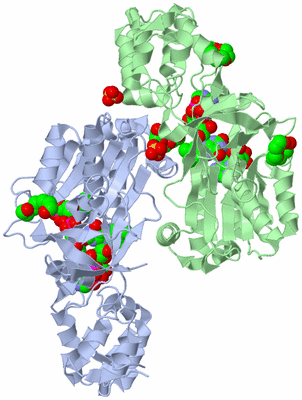 Image Biological Unit 3