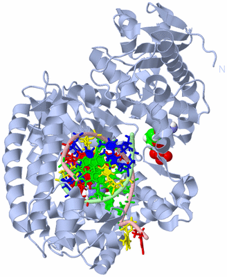 Image Biological Unit 1